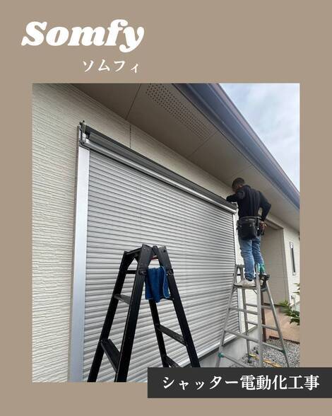 ソムフィ
